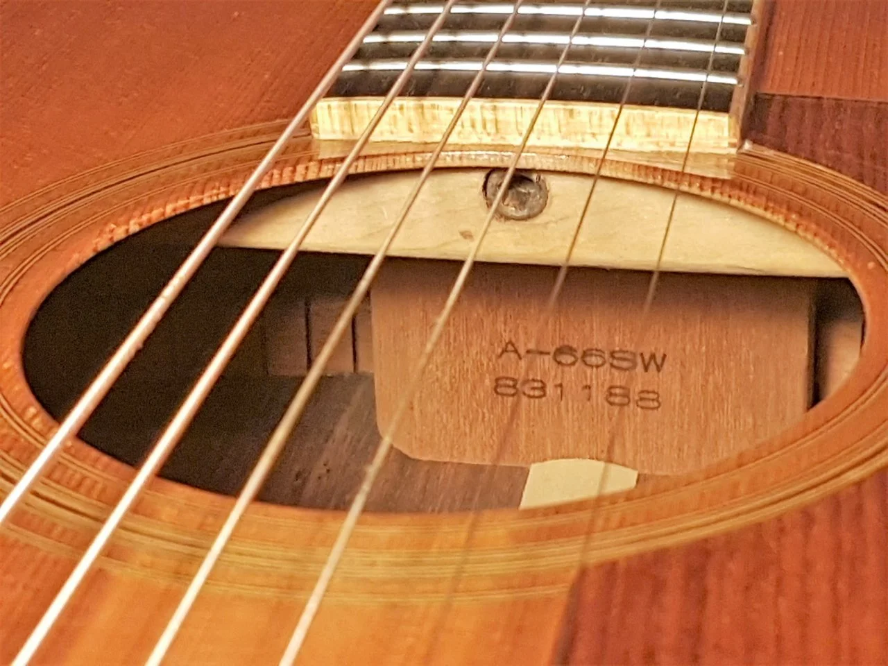 A-66SW_06.webp