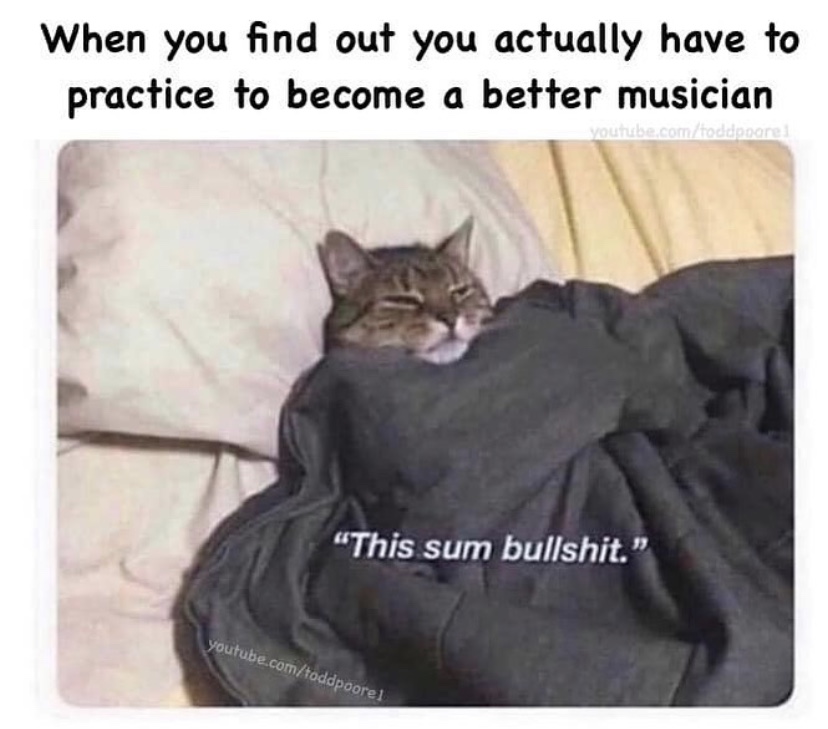 A3EDC55A-5A03-4E3E-B1C3-E8376AF70CA4.jpeg