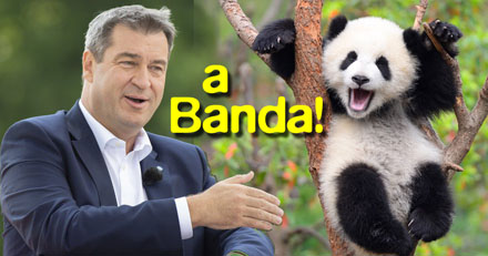a_banda!.jpg