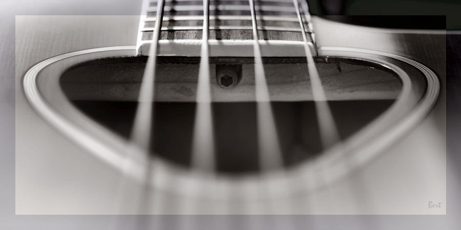 A_Bass_03.JPG