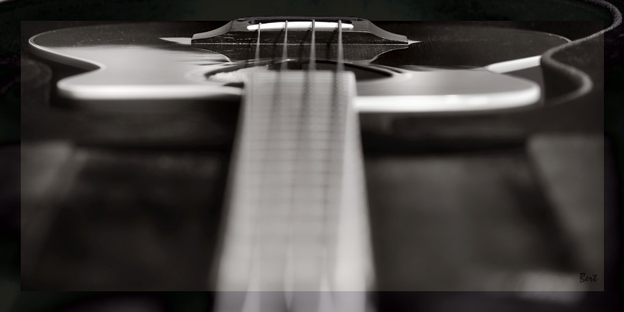A_Bass_04.JPG