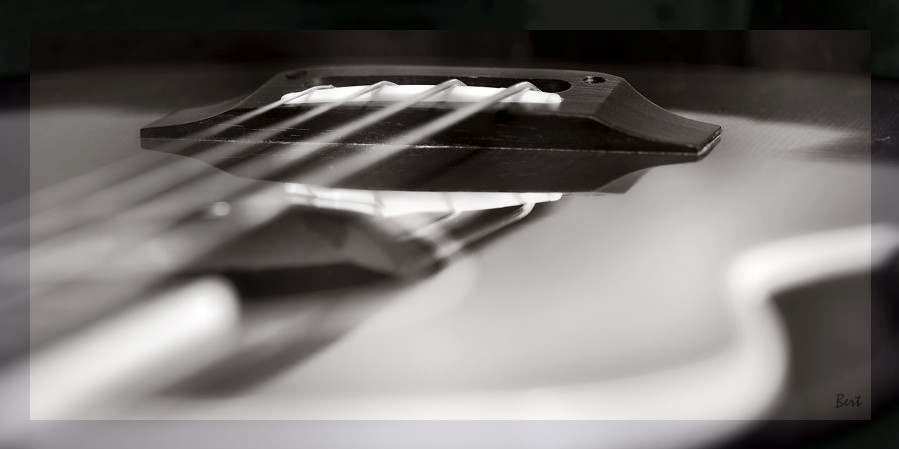 A_Bass_05.JPG