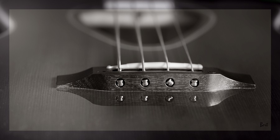 A_Bass_06.JPG