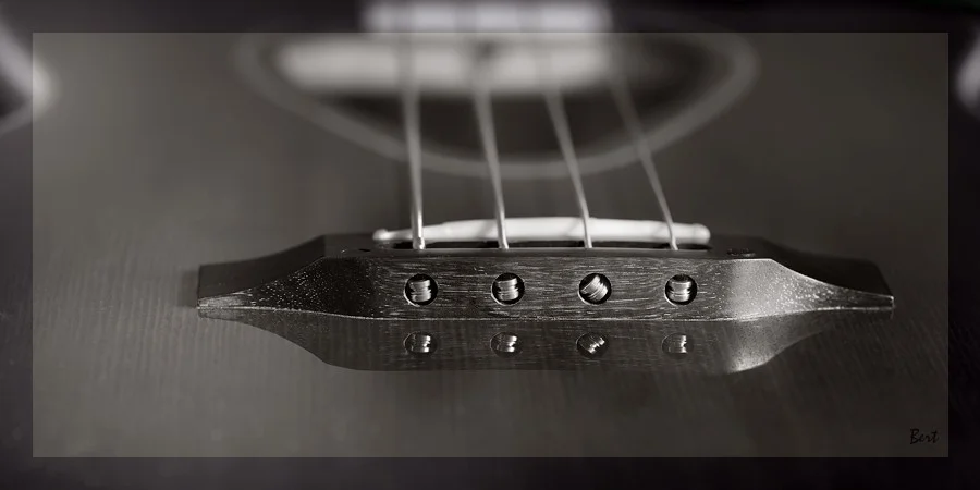 A_Bass_06.JPG
