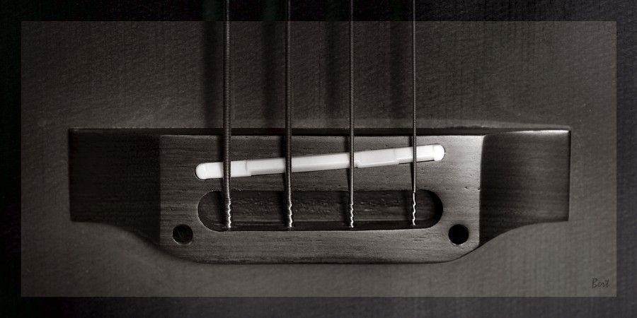 A_Bass_07.JPG