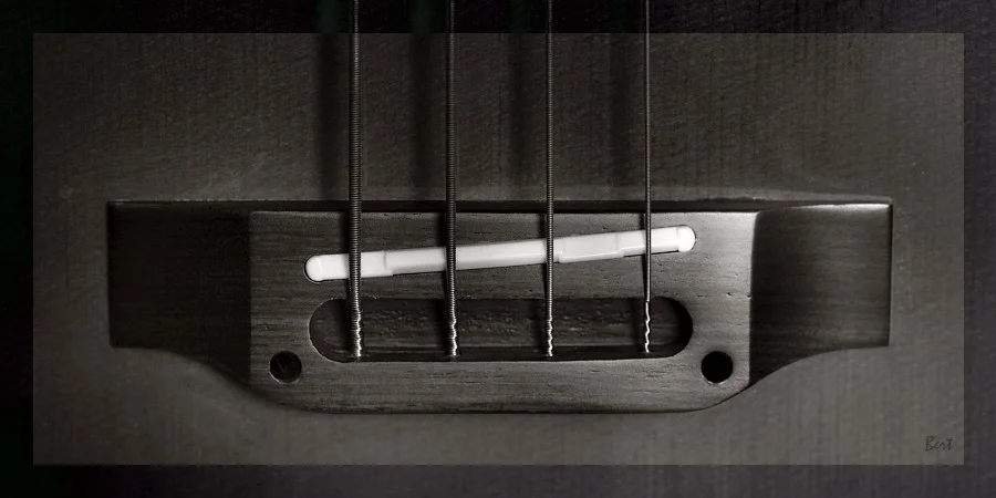 A_Bass_07.JPG