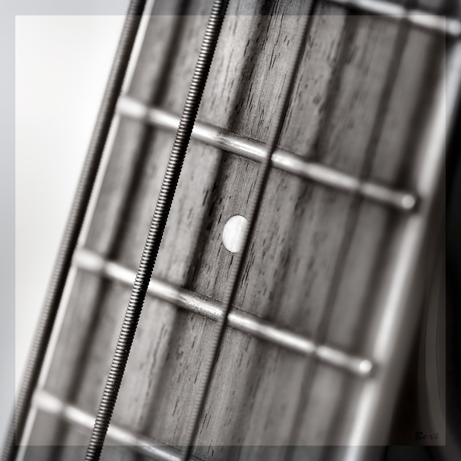 A_Bass_08.JPG