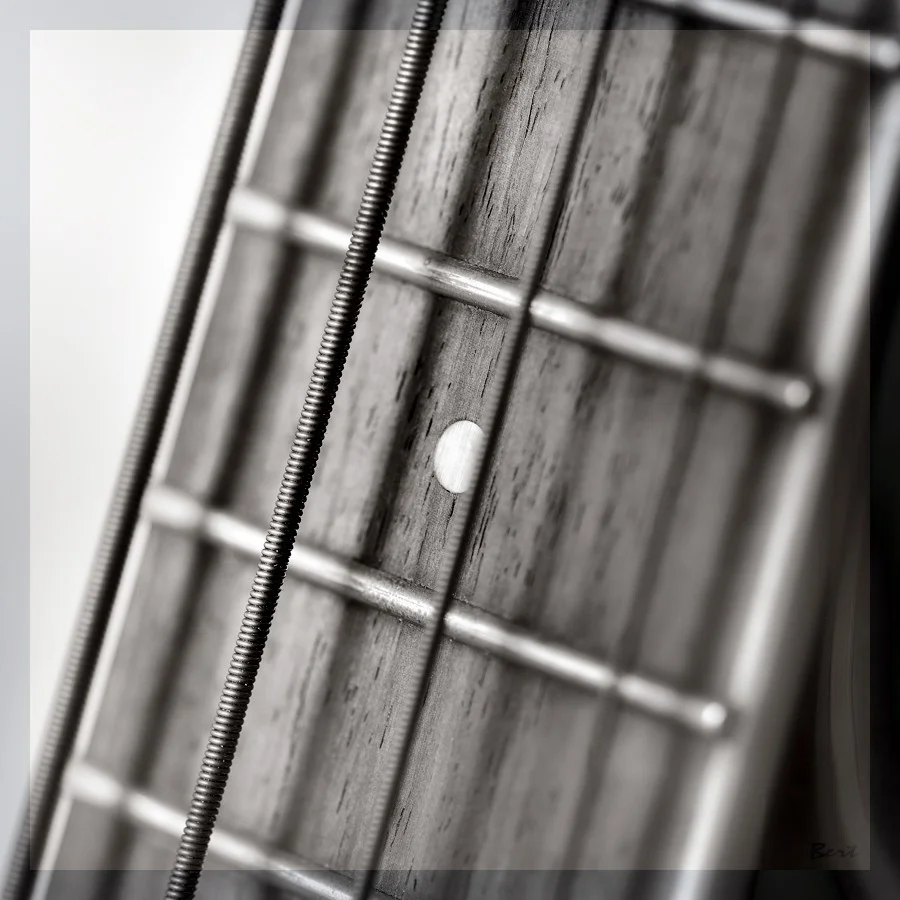 A_Bass_08.JPG