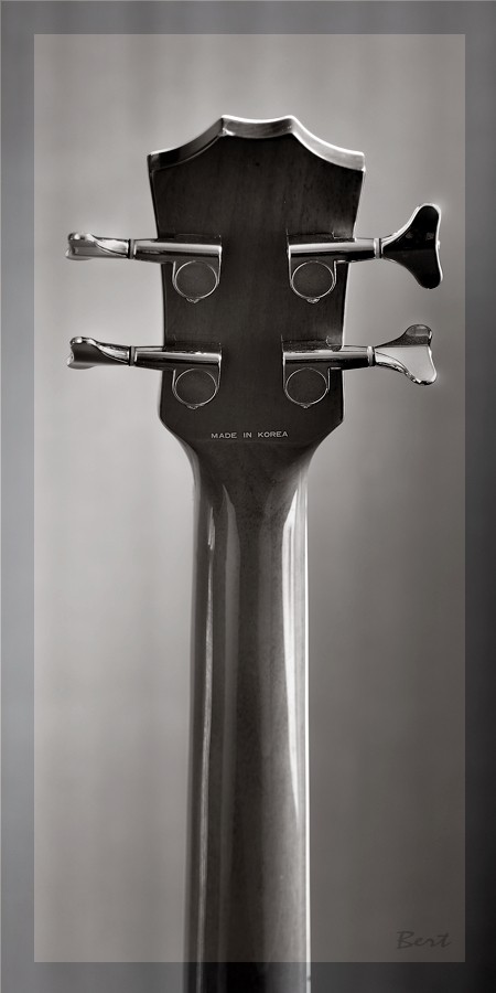 A_Bass_12.JPG