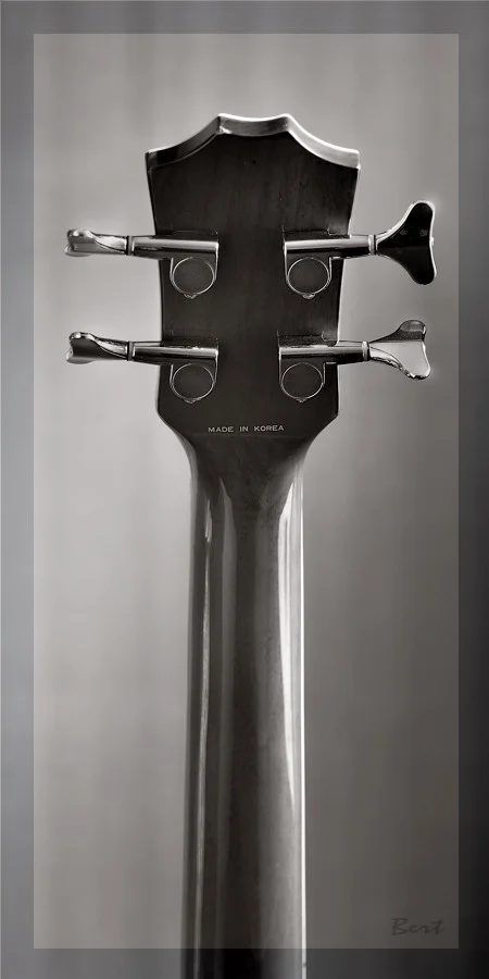 A_Bass_12.JPG