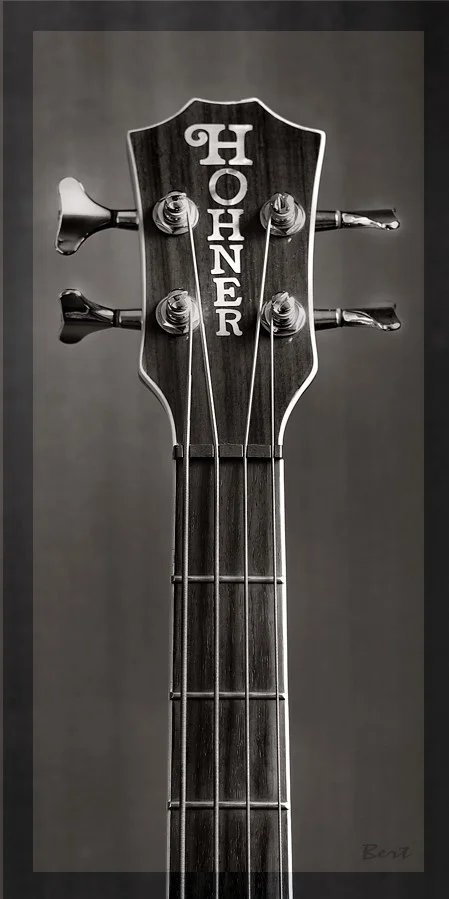 A_Bass_14.JPG