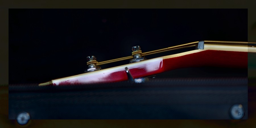 A_Bass_18.JPG