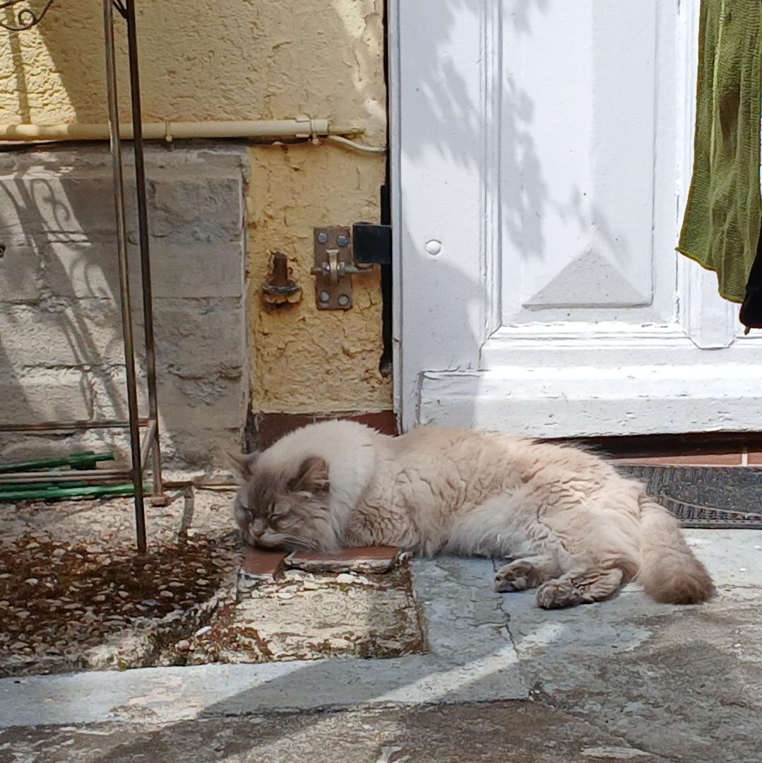 Aale_Katz.jpg