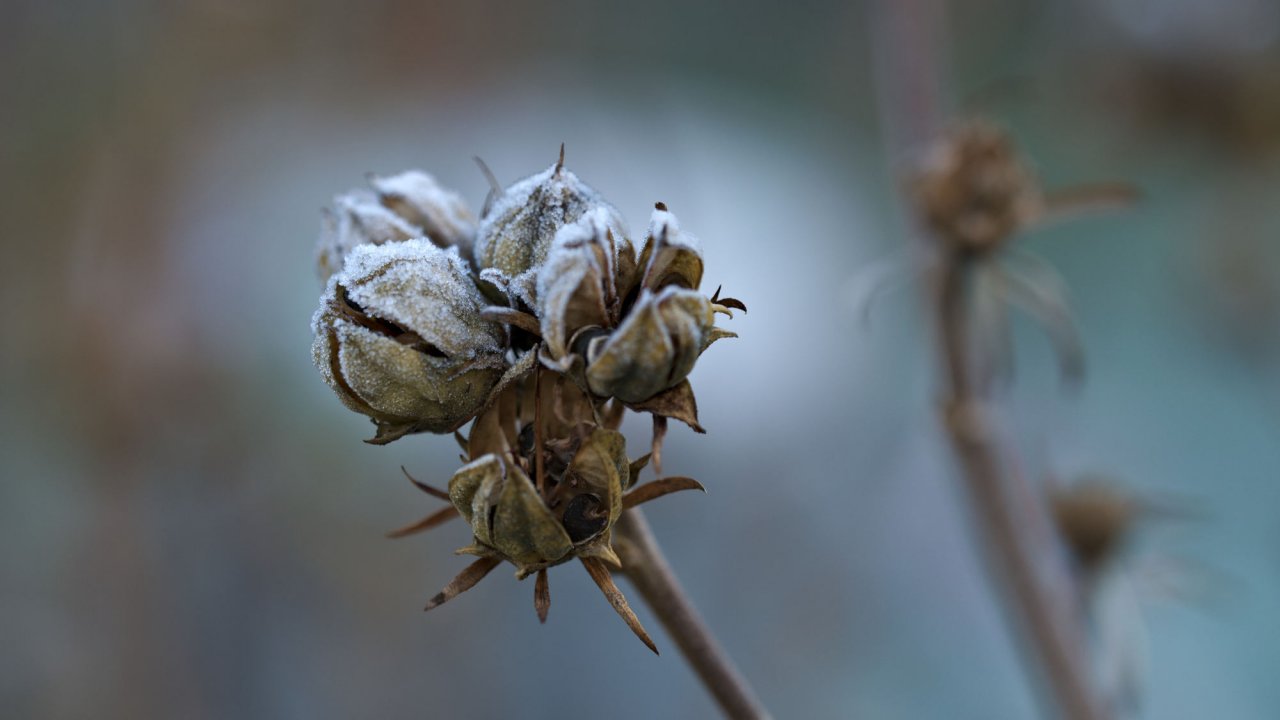 aaWZ6_0082.jpg