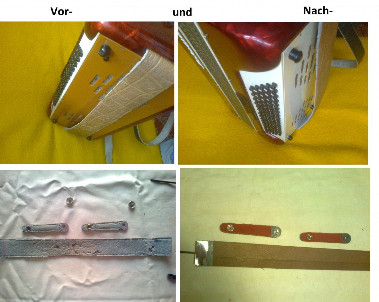 Abbildung 5.jpg