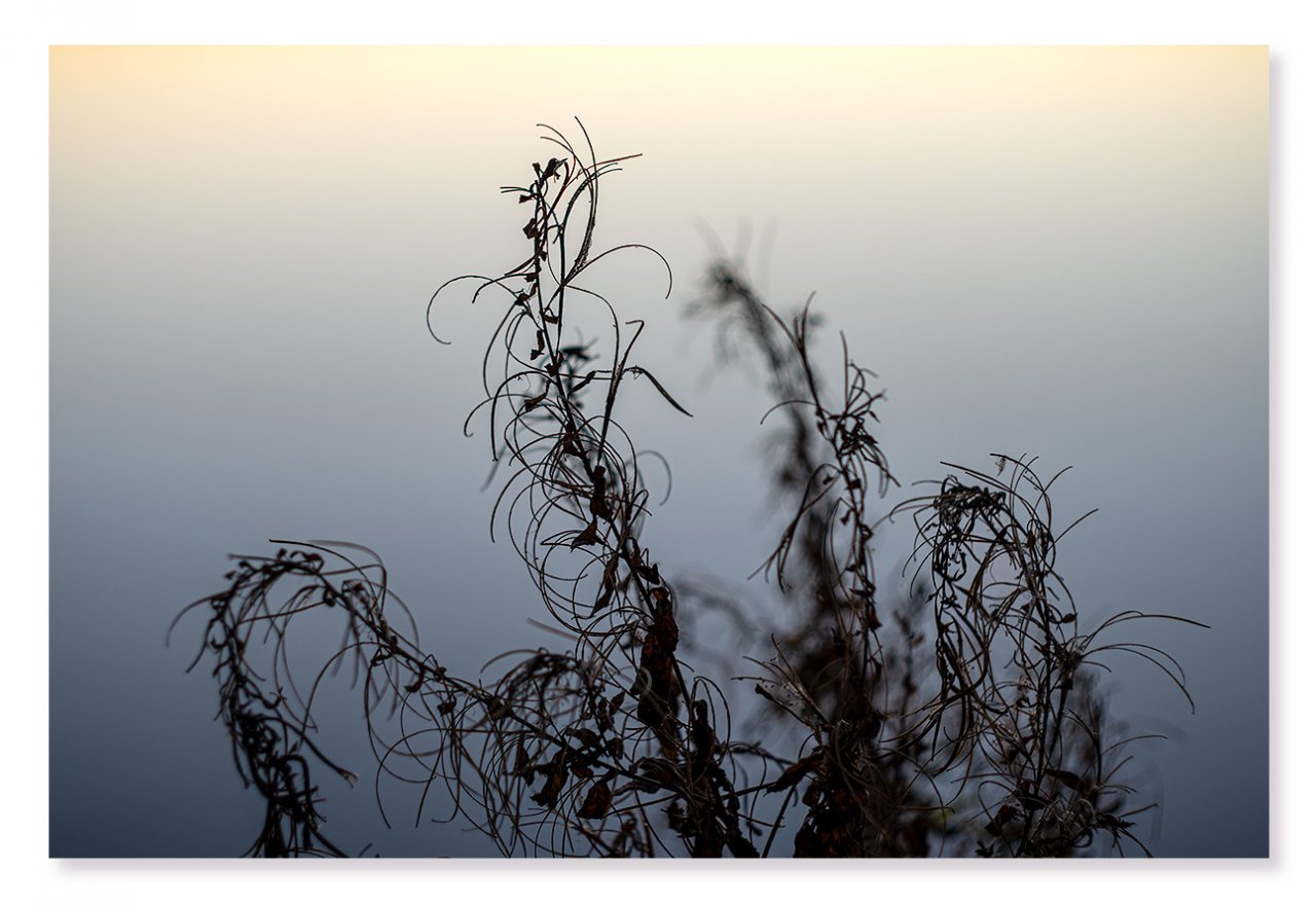 Abendstimmung-am-See.jpg
