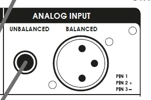adam input.webp