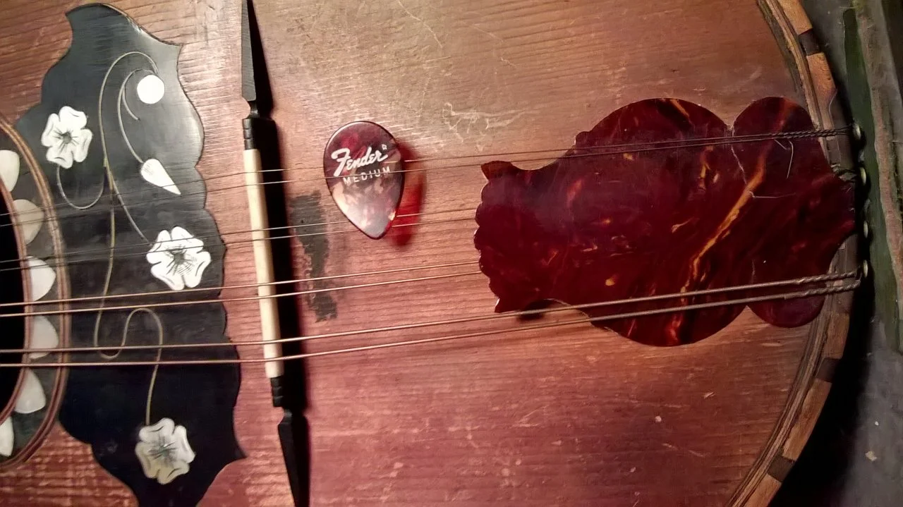 Ärmelschoner Stridente.jpg