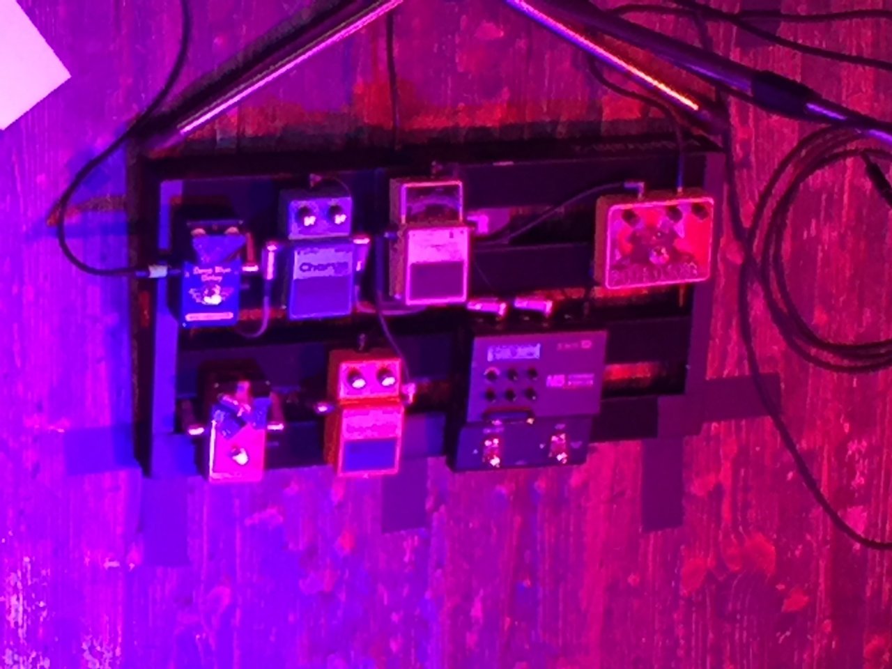 Alan Nimmo Pedal.jpg