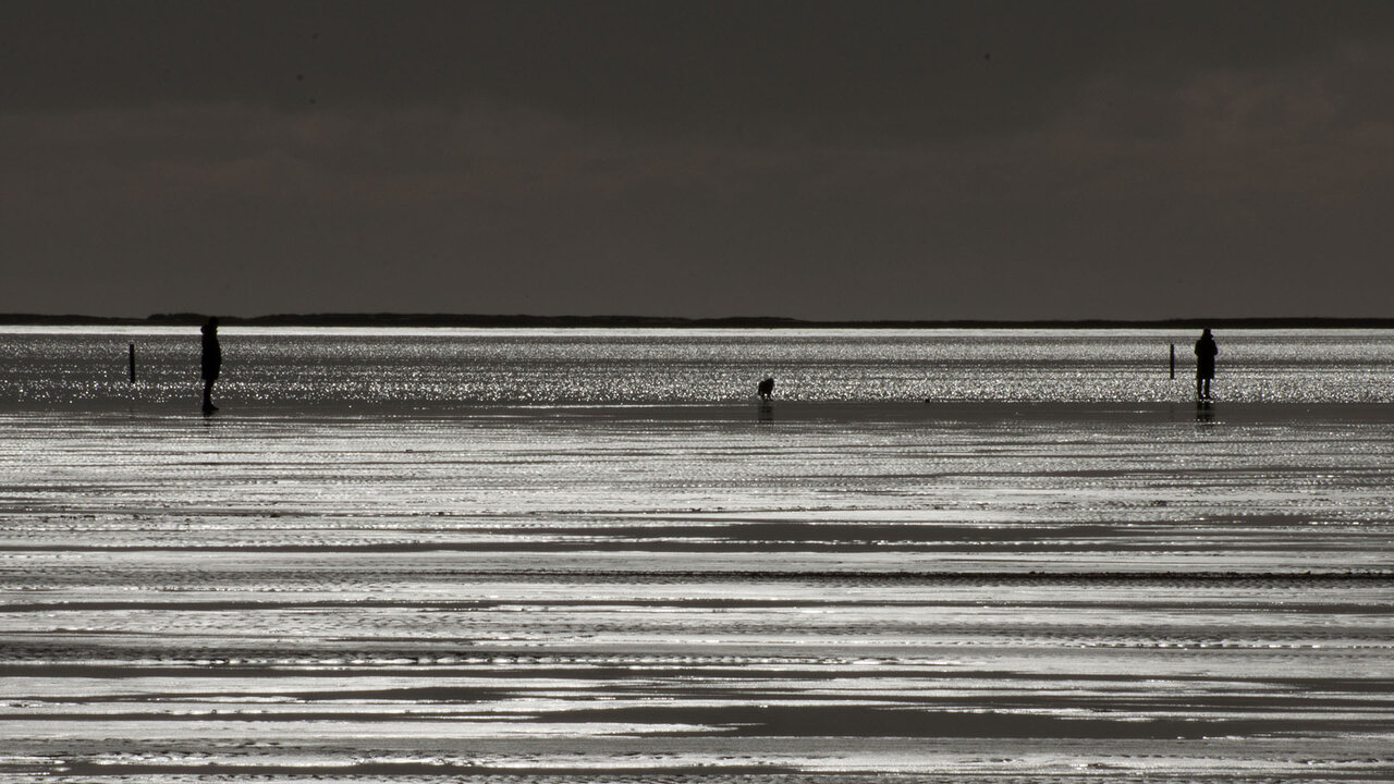 Am Meer komp..jpg
