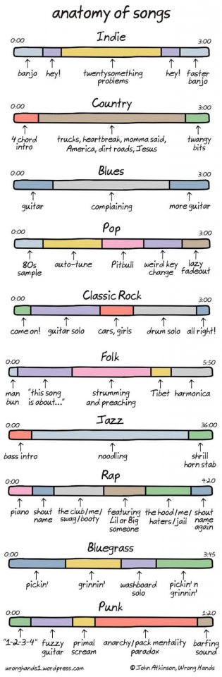 anatomy of songs.jpg