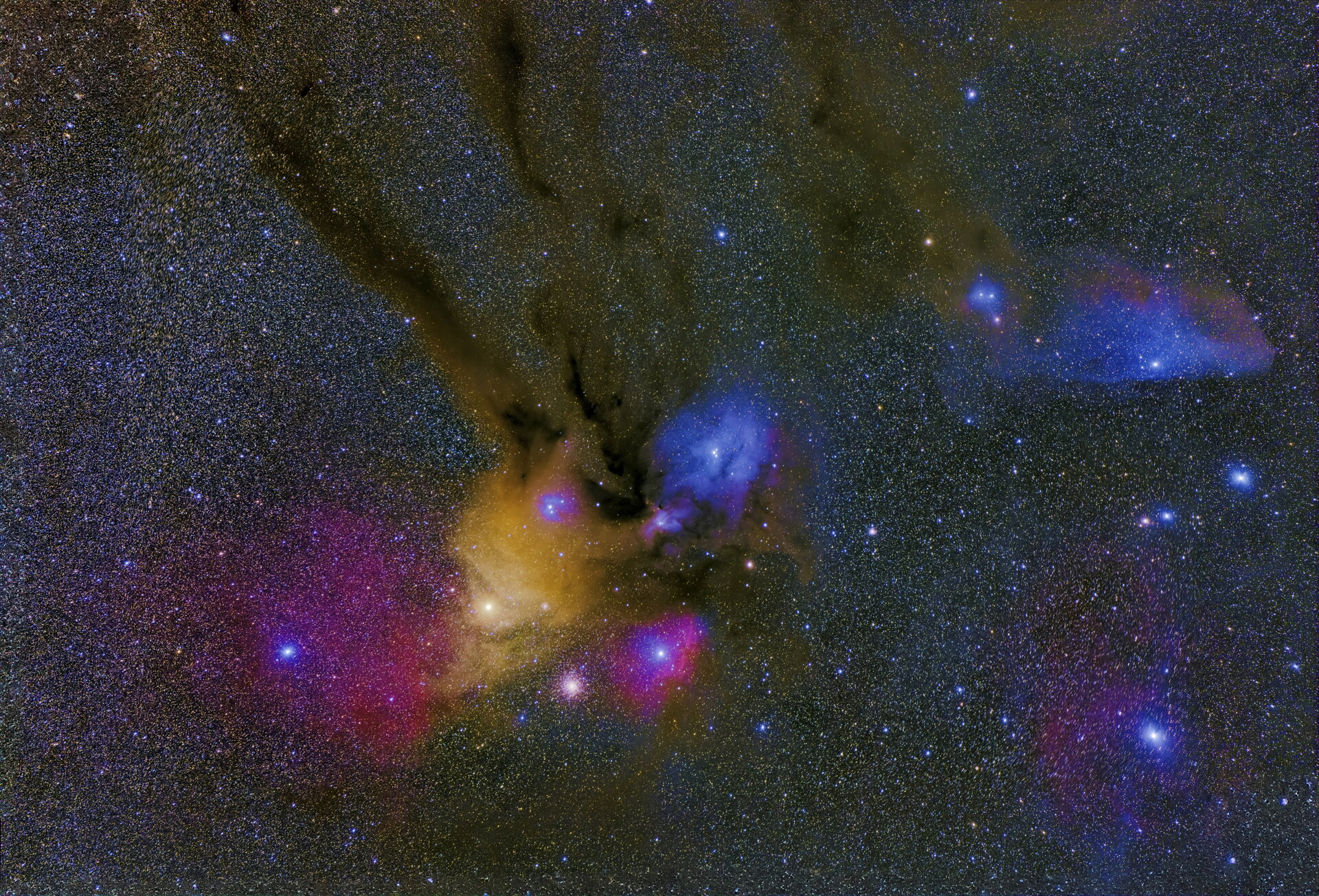 AntMos-LP_SR_CR_SV-R.jpg