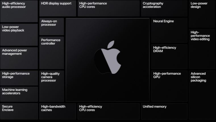 Apple [2289].jpg