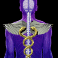 -avatars.alphacoders.com.gif