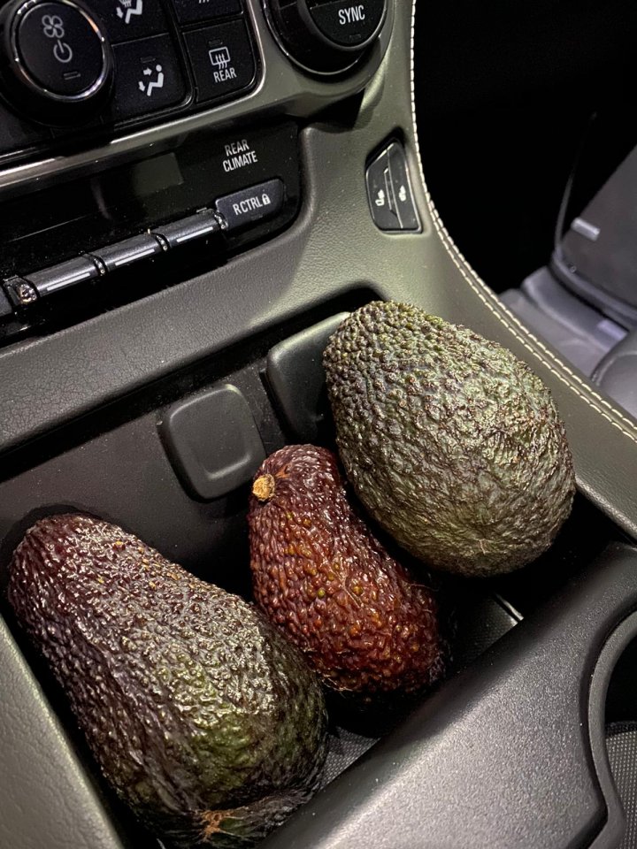 avo.jpeg