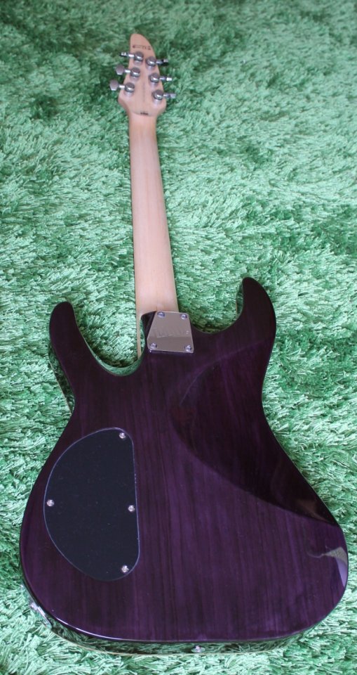 Back_1.jpg