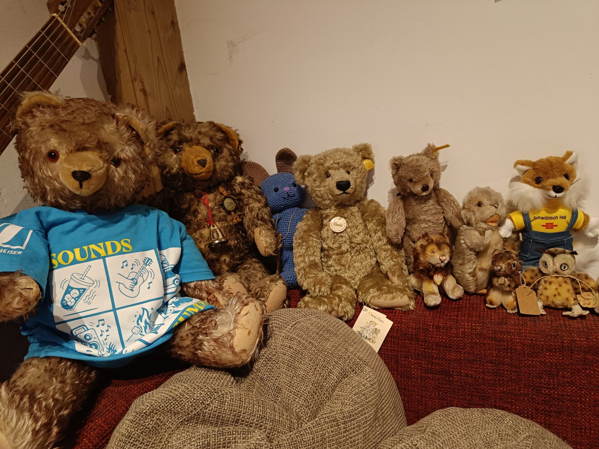 Bär mit T-Shirt.jpg