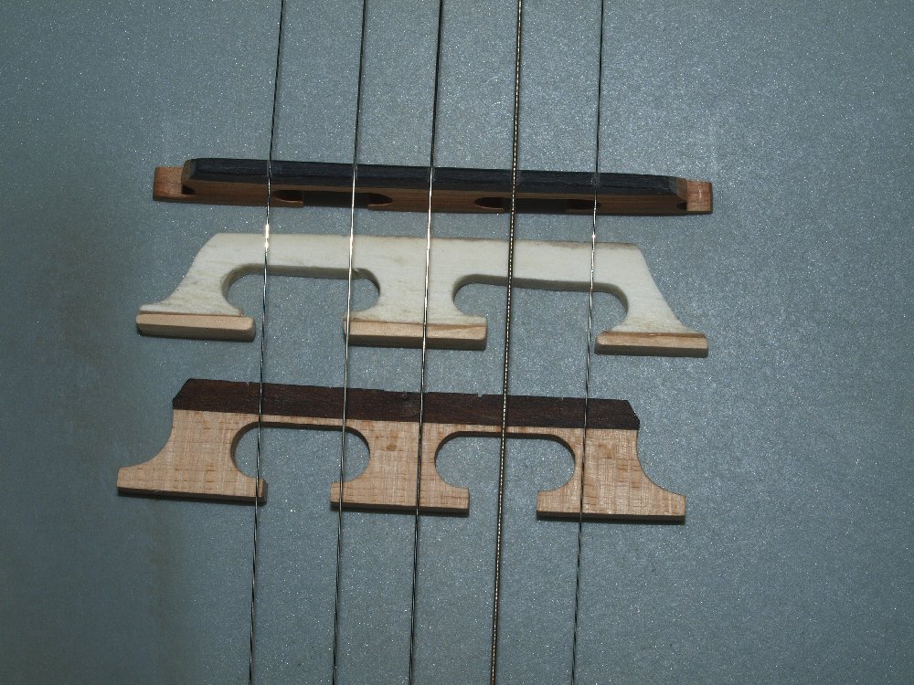Banjo-Steg 1.jpg