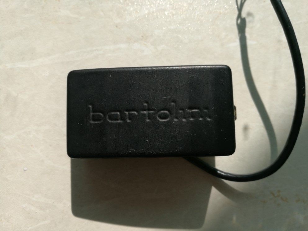 Bartolini 1.jpg