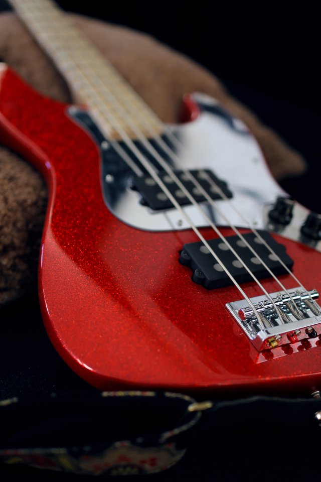 bass.jpg