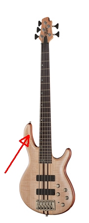 Bass.jpg