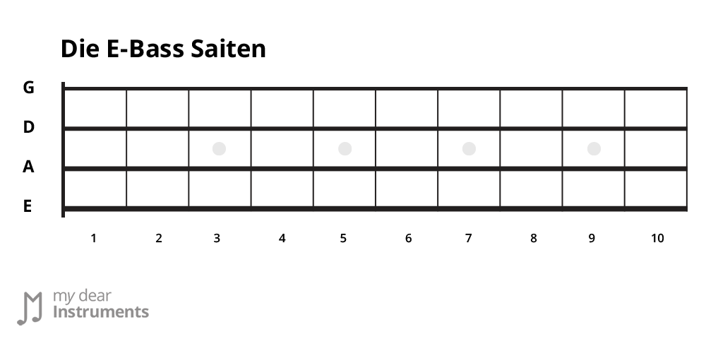 BASS_Die-vier-Basssaiten.png