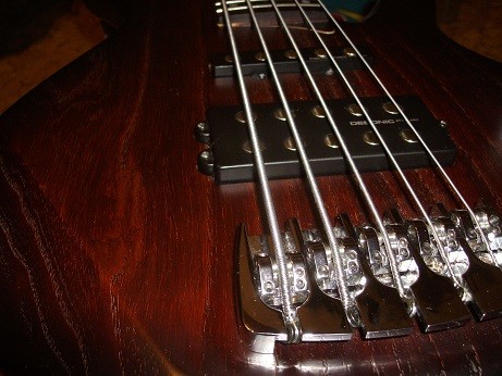 BassCort.jpg
