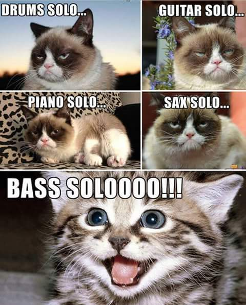 Basssolo.png