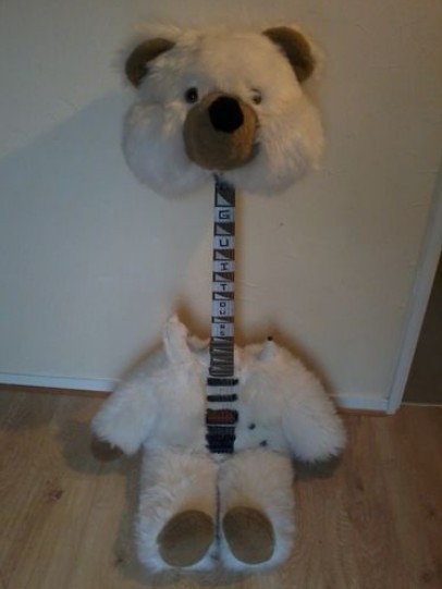 Bear-Guitar.jpg