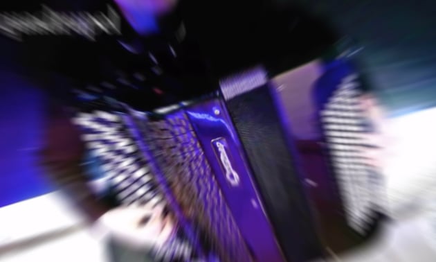 Bellow Shake.jpg