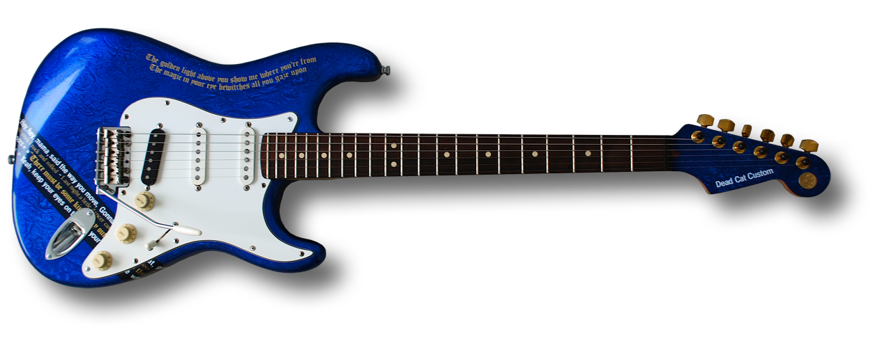 bernies_guitar.png