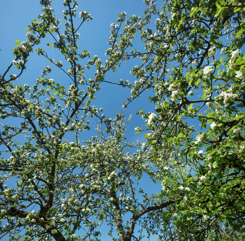 Bildschirmfoto 2024-05-03 um 18.48.31.png