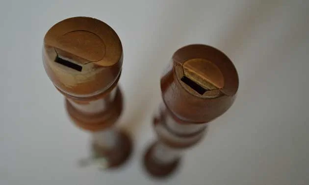 Die Blockflöte im Internet 