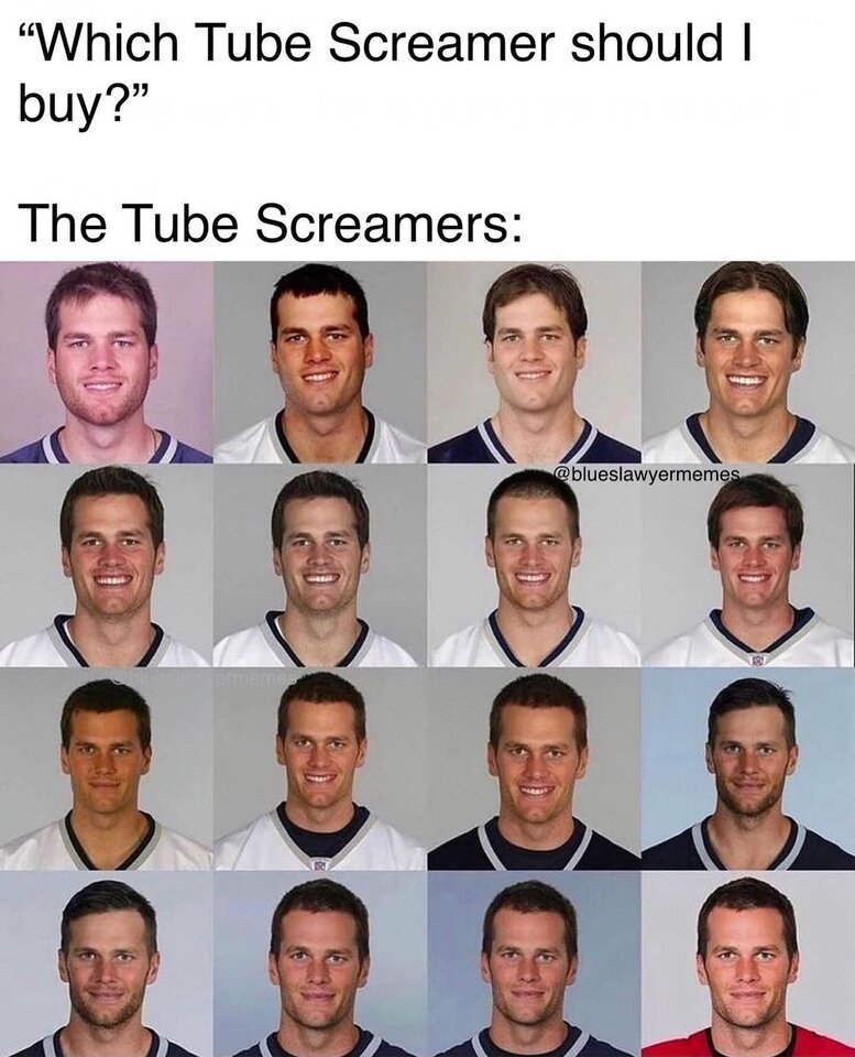 blueslawyermemes_1709378260707.jpg
