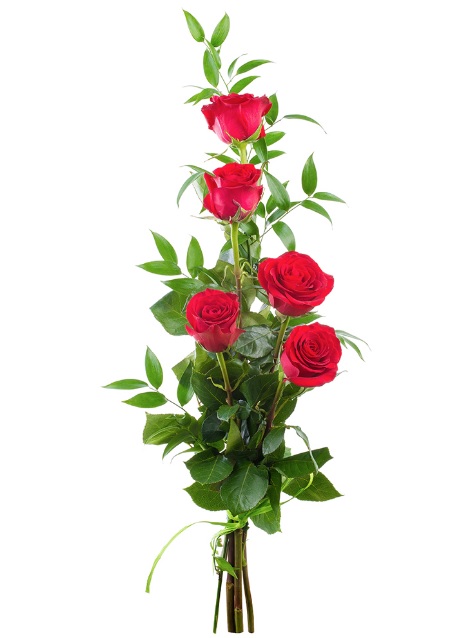 blumen.jpg