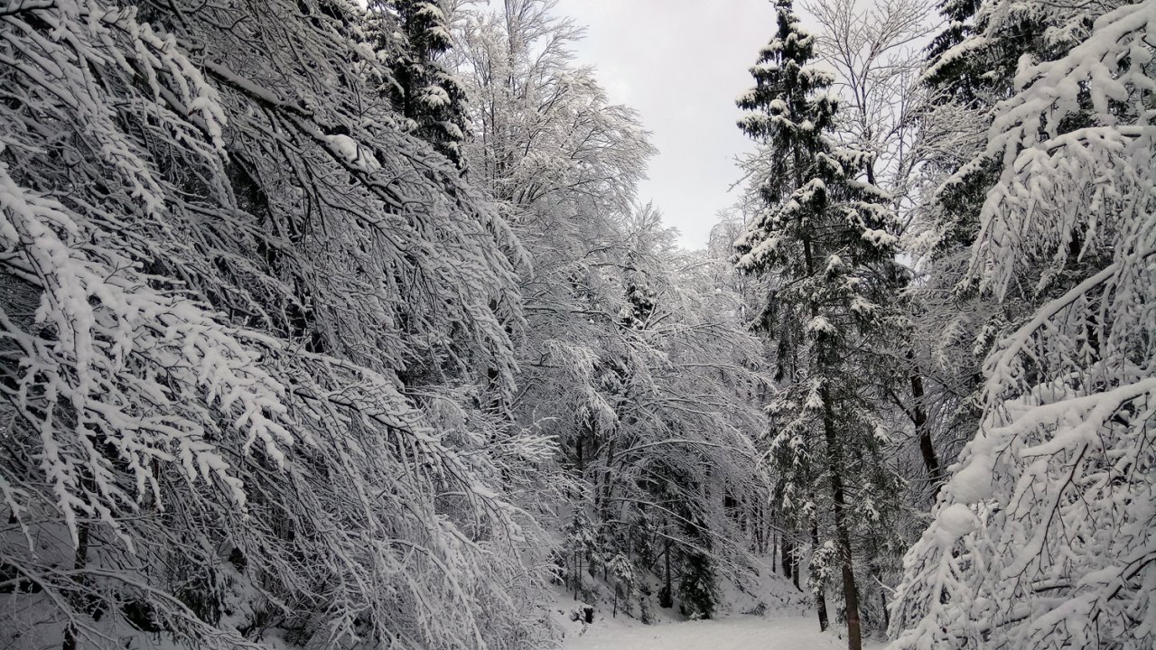 Bluntautal_05.jpg