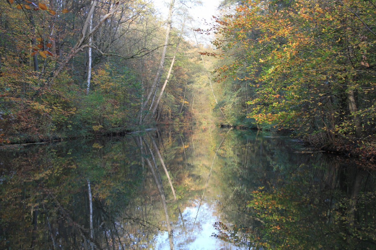 BöhmeHerbst.JPG