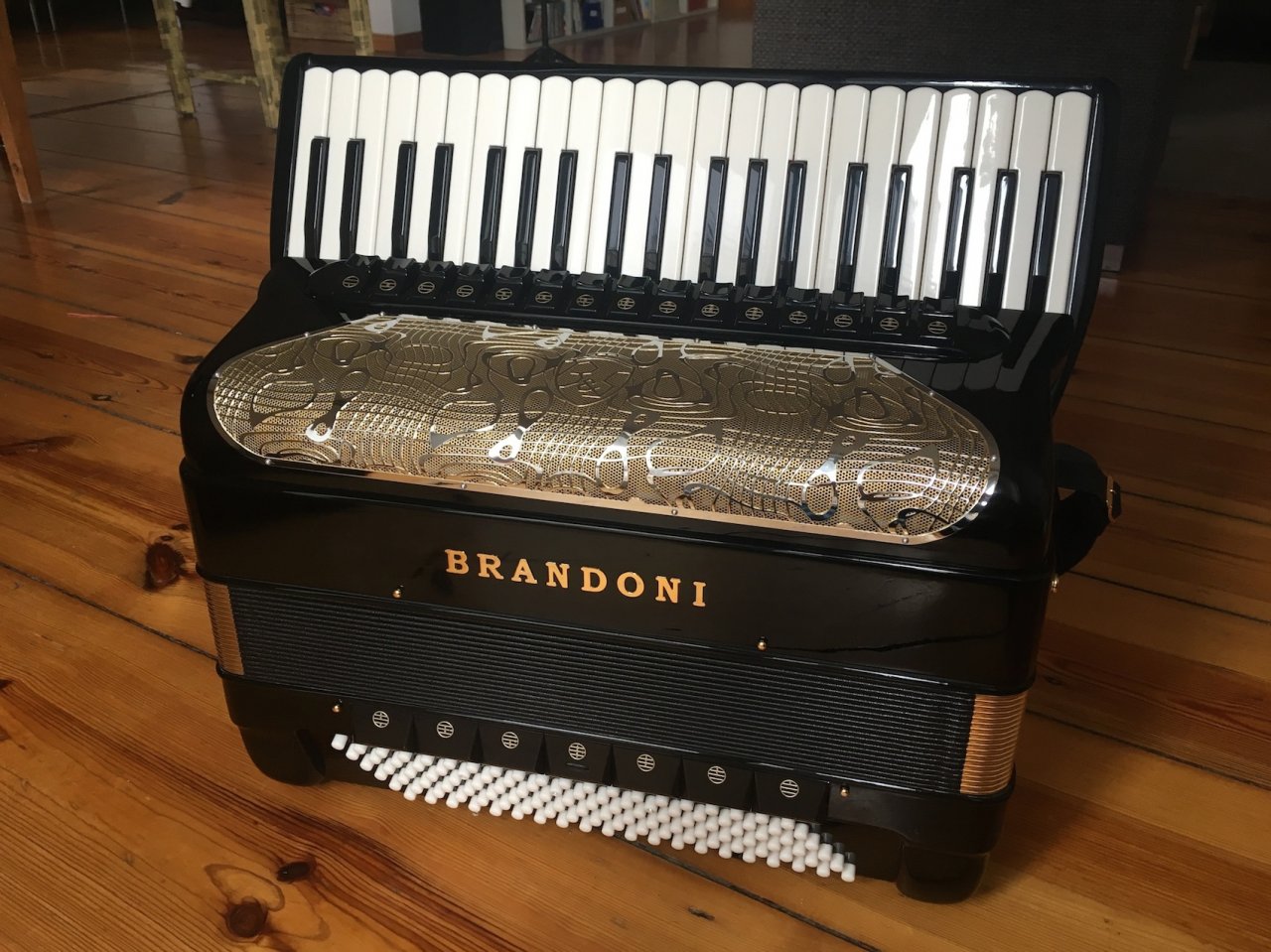 Brandoni1.jpg
