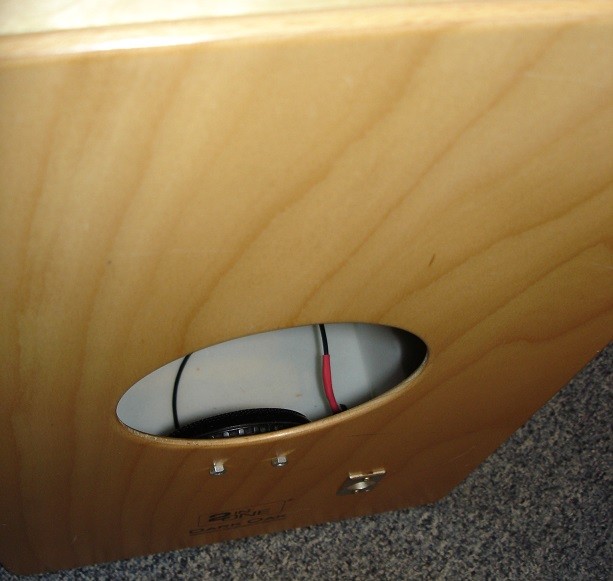 CajonMic.jpg