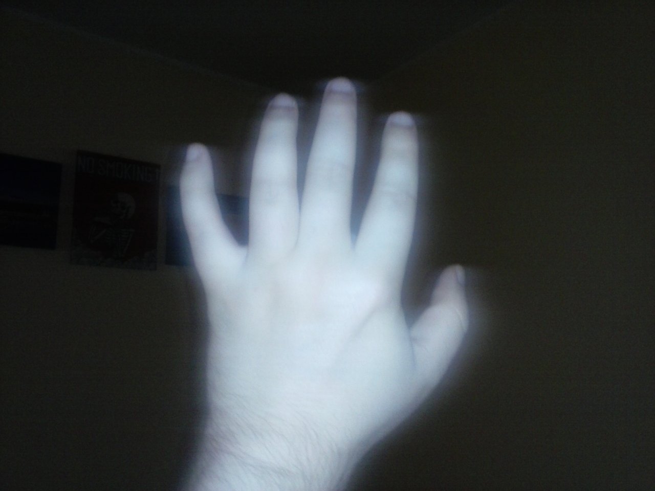 CAM00029.jpg